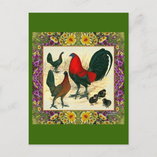 Game Fowl Flowframe Postkarte (Vorderseite)