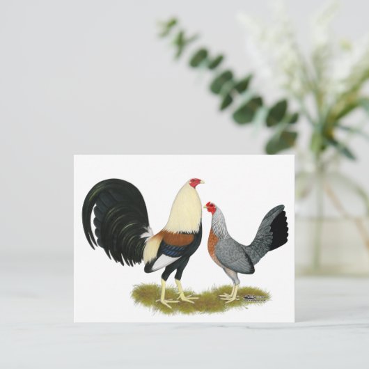 Game Fowl Pair Postkarte (Stehend Vorderseite)