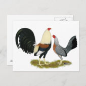 Game Fowl Pair Postkarte (Vorne/Hinten)