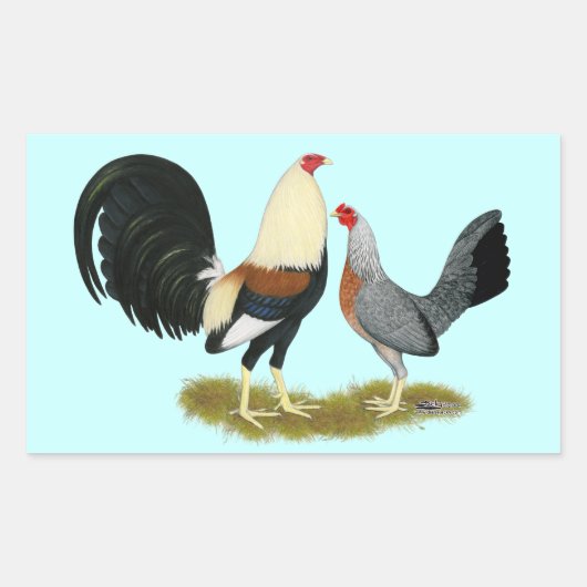 Game Fowl Pair Rechteckiger Aufkleber (Vorderseite)