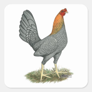 Game Hen Blue Red Quadratischer Aufkleber