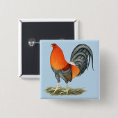 Gamecock Blue Red Rooster Button (Vorne & Hinten)