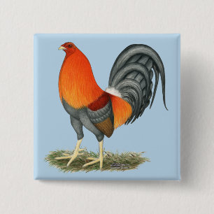 Gamecock Blue Red Rooster Button