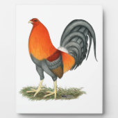 Gamecock Blue Red Rooster Fotoplatte (Vorderseite)