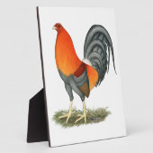 Gamecock Blue Red Rooster Fotoplatte (Seite)