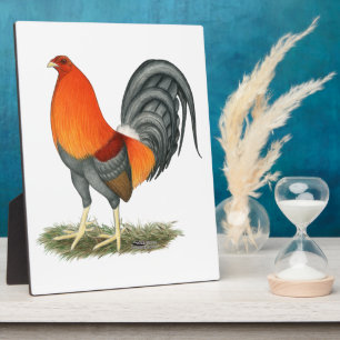 Gamecock Blue Red Rooster Fotoplatte