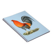 Gamecock Blue Red Rooster Notizblock (Rechte Seite)