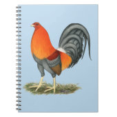 Gamecock Blue Red Rooster Notizblock (Vorderseite)