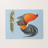 Gamecock Blue Red Rooster Puzzle (Horizontal)