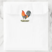Gamecock Blue Red Rooster Quadratischer Aufkleber (Tasche)