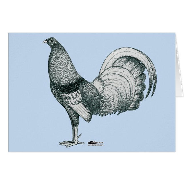 Gamecock Crele oder Dom (Vorderseite (Horizontal))