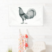 Gamecock Crele oder Dom Banner (Insitu)