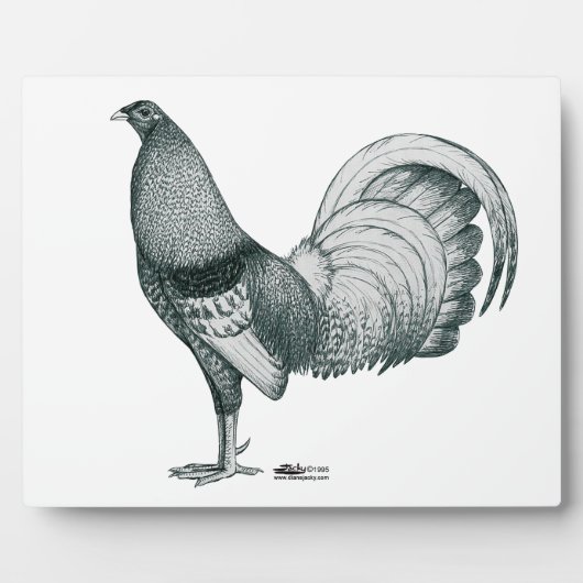 Gamecock Crele oder Dom Fotoplatte (Vorderseite)