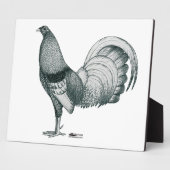 Gamecock Crele oder Dom Fotoplatte (Seite)