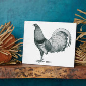 Gamecock Crele oder Dom Fotoplatte (Seite)