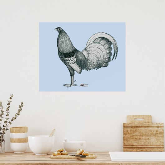 Gamecock Crele oder Dom Poster (Küche)