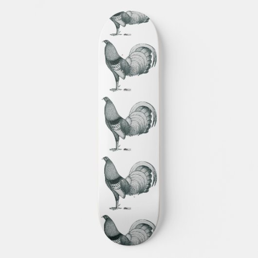 Gamecock Crele oder Dom Skateboard (Vorderseite)