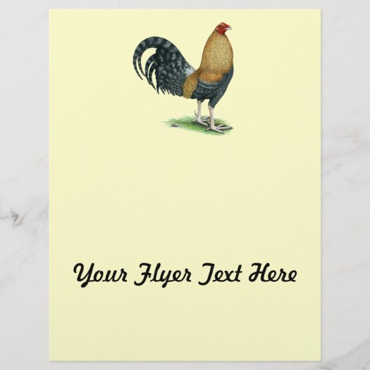 Gamecock: Dom oder Crele Flyer (Vorne)