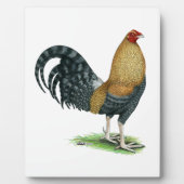 Gamecock: Dom oder Crele Fotoplatte (Vorderseite)