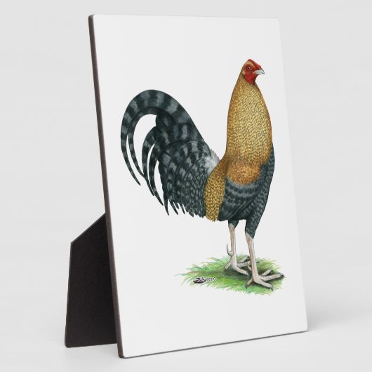 Gamecock: Dom oder Crele Fotoplatte (Seite)