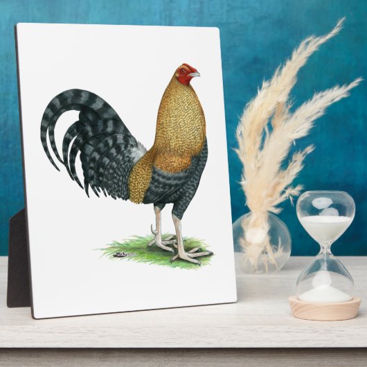 Gamecock: Dom oder Crele Fotoplatte (Seite)