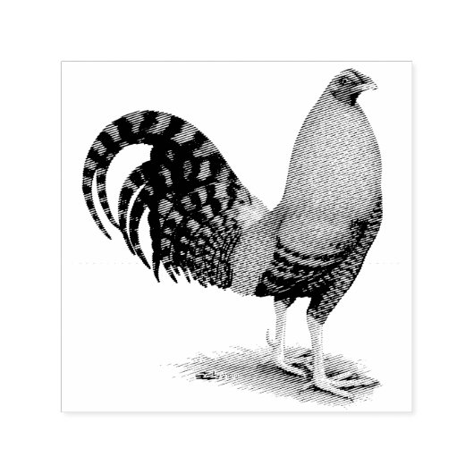 Gamecock: Dom oder Crele Permastempel (Design)