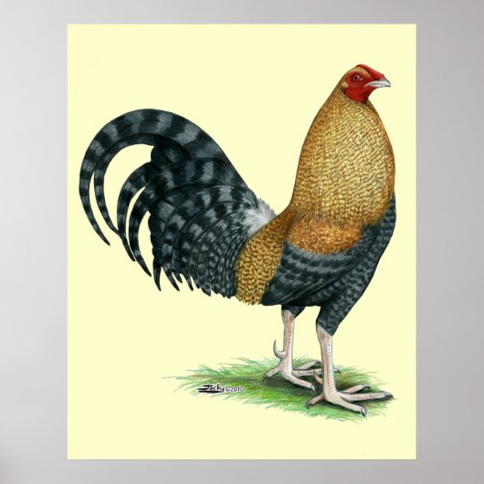 Gamecock: Dom oder Crele Poster (Vorne)