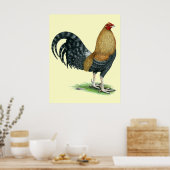 Gamecock: Dom oder Crele Poster (Küche)