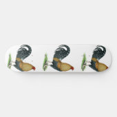 Gamecock:  Dom oder Crele Skateboard (Horizontal)