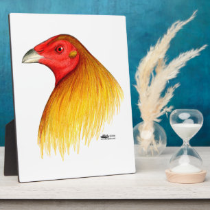 Gamecock Dubbed Fotoplatte