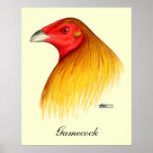 Gamecock Dubbed Poster (Vorne)