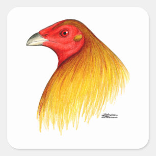 Gamecock Dubbed Quadratischer Aufkleber