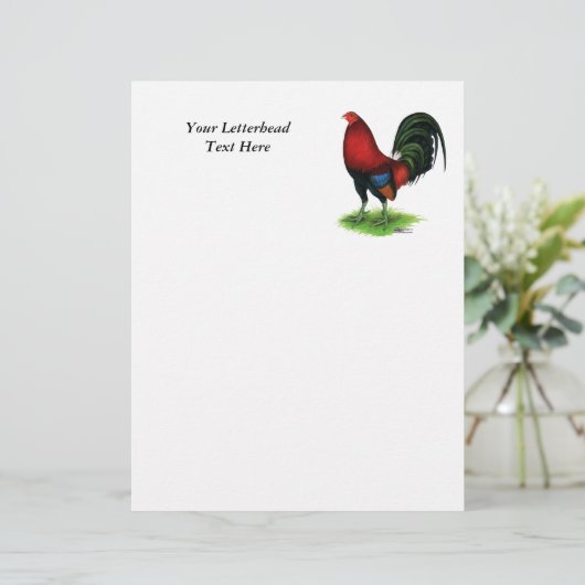 Gamecock: Dunkelrot (Stehend Vorderseite)