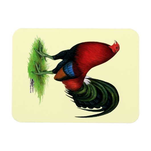 Gamecock: Dunkelrot Magnet (Horizontal)