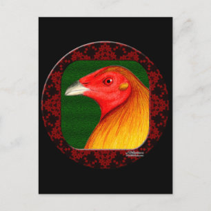 Gamecock gerahmt postkarte
