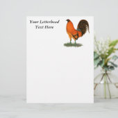 Gamecock Ginger Red Rooster (Stehend Vorderseite)