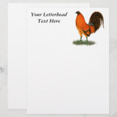Gamecock Ginger Red Rooster (Vorne/Hinten)