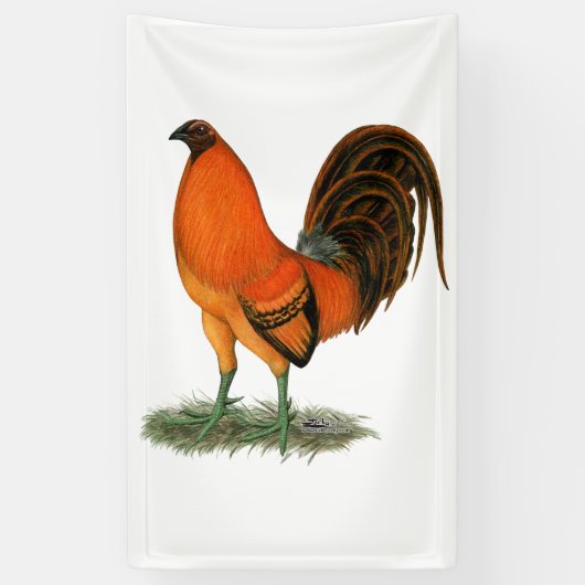Gamecock Ginger Red Rooster Banner (Vertikal)