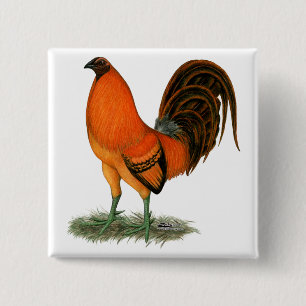 Gamecock Ginger Red Rooster Button