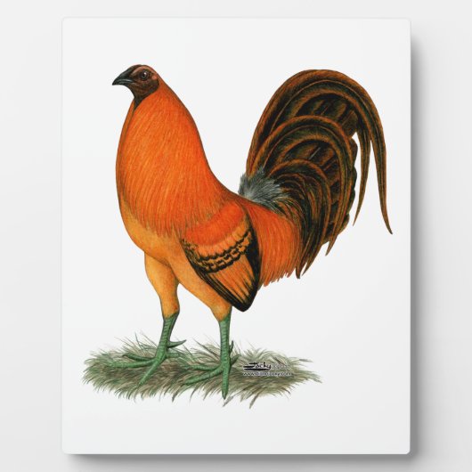 Gamecock Ginger Red Rooster Fotoplatte (Vorderseite)