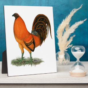 Gamecock Ginger Red Rooster Fotoplatte