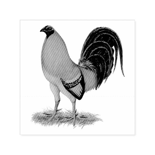 Gamecock Ginger Red Rooster Permastempel (Design)