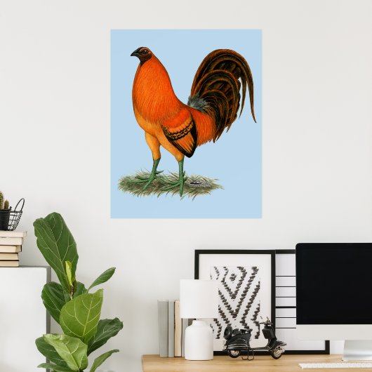Gamecock Ginger Red Rooster Poster (Heimbüro)