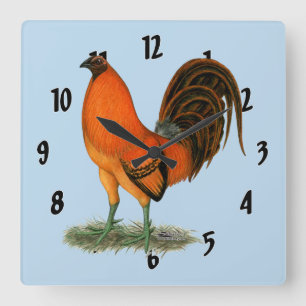 Gamecock Ginger Red Rooster Quadratische Wanduhr