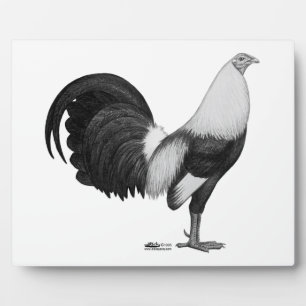 Gamecock Gray Duckwing Fotoplatte