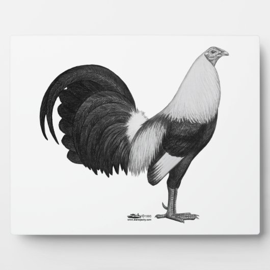 Gamecock Gray Duckwing Fotoplatte (Vorderseite)