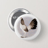 Gamecock: Hennie Button (Vorne & Hinten)