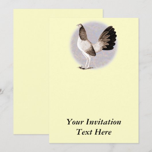 Gamecock: Hennie Einladung (Vorne/Hinten)