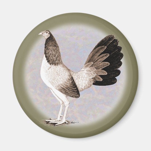 Gamecock: Hennie Magnet (Vorne)