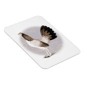 Gamecock: Hennie Magnet (Rechte Seite)